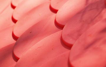 Swimbridge Newland plastic roof costs